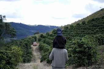 A child on an adult's shoulders walking through the coffee fields