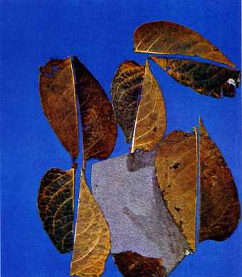 Eva Hesse Free Study with leaves