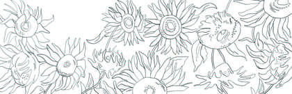 Colour in template of sunflowers 
