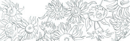 Colour in template of sunflowers