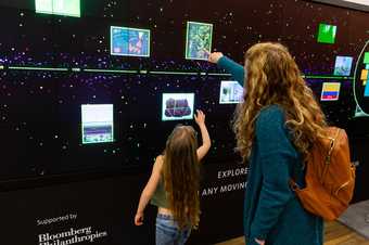 Family interacting with a large digital touch screen displaying artwork images