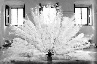 Black and white interior shot photograph with a collection of white feathers span out like a peacock at its centre