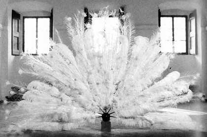 Black and white interior shot photograph with a collection of white feathers span out like a peacock at its centre