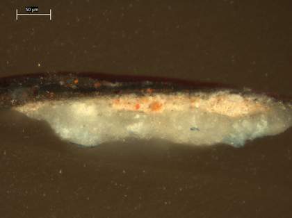 Fig.10 Cross-section through the dark, plum-coloured background at the top edge, photographed at x320 magnification.