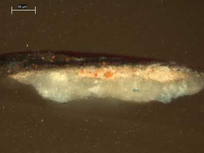 Fig.10 Cross-section through the dark, plum-coloured background at the top edge, photographed at x320 magnification.