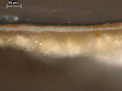 Fig.10 Cross-section through the black oval surround, photographed at x320 magnification.