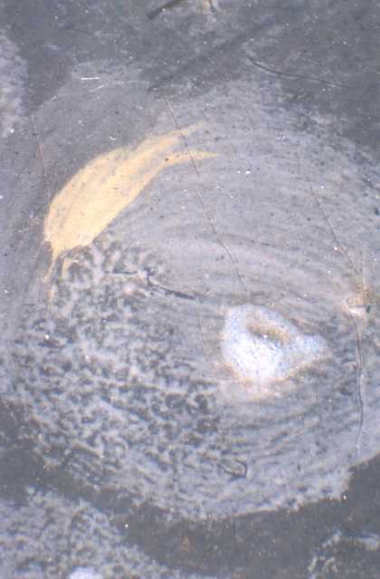 Fig.10 Detail of a pearl on the dress