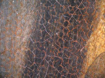Fig.10 Detail at x8 magnification of red underpainting beneath the black robe