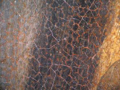 Fig.10 Detail at x8 magnification of red underpainting beneath the black robe