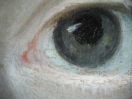 Fig.10 Detail of the sitter’s left eye, photographed at x8 magnification. Blue pigment in the eyeball