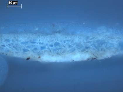 Fig.10 Cross-section through blue sky, photographed at x320 magnification in ultraviolet light.