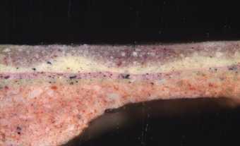 Fig.10 Cross-section through the opaque pinkish red paint of the slashed doublet, photographed at x200 magnification. 