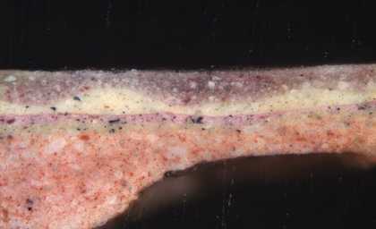 Fig.10 Cross-section through the opaque pinkish red paint of the slashed doublet, photographed at x200 magnification. 