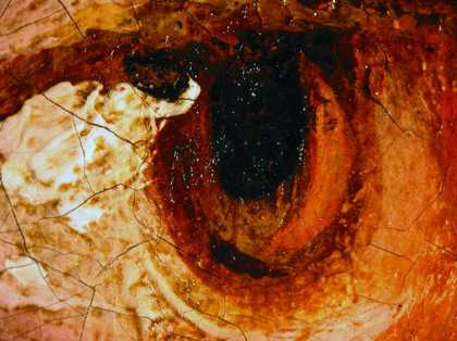 Fig.10 Detail of the sitter’s right eye, photographed at x8 magnification