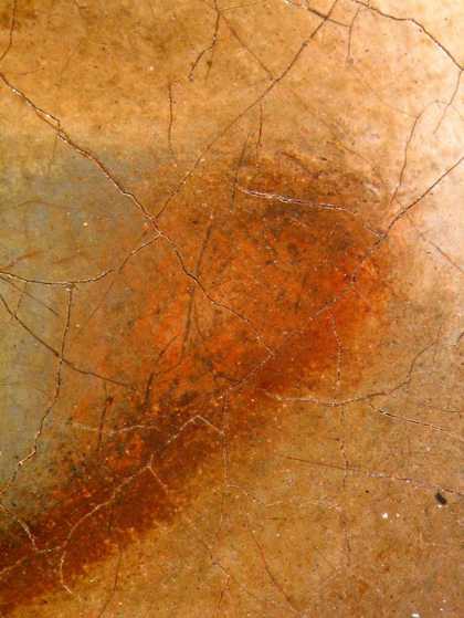 Fig.10 Detail of the corner of the sitter’s left eye at x8 magnification
