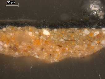 Fig.10 Cross-section through the black costume, photographed at x320 magnification