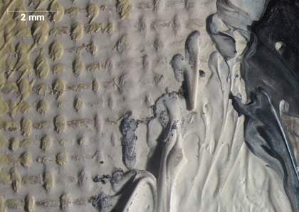 Micrograph of gap between the face and yellow hair where the fingers meet the face, showing grainy grey particles in paint