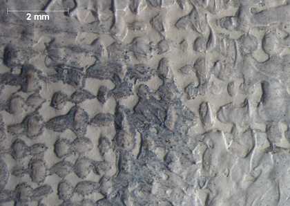 Micrograph of the inner corner of the proper right eye in the white face, showing grainy grey paint