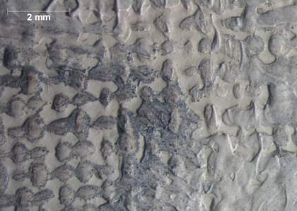 Micrograph of the inner corner of the proper right eye in the white face, showing grainy grey paint