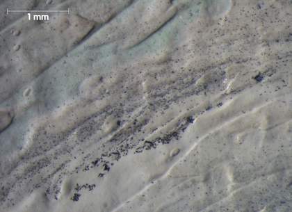 Micrograph of grainy grey paint at the top of the ear, showing traces of green