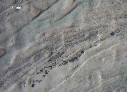 Micrograph of grainy grey paint at the top of the ear, showing traces of green
