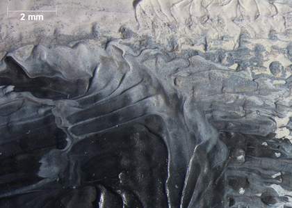 Micrograph of the marbled paint in the eyeball