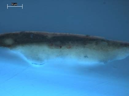 Fig.11 The same cross-section viewed in ultraviolet light