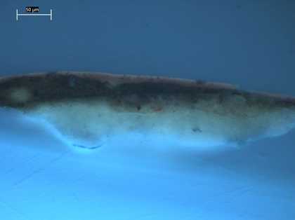 Fig.11 The same cross-section viewed in ultraviolet light