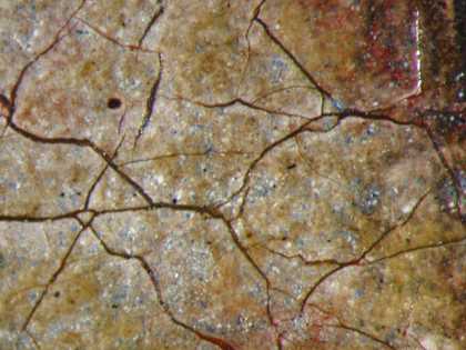 Fig.11 Detail of blue pigment in the white of the eye