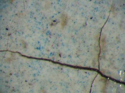 Fig.11 Detail of the blue pigment in the right eyeball, photographed at x100 magnification