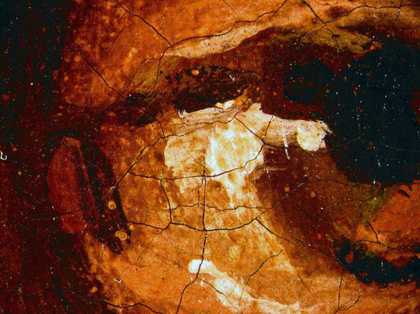 Fig.11 Detail of the sitter’s left eye, photographed at x8 magnification