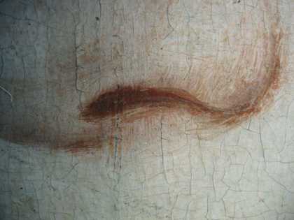 Fig.11 Detail of the nose, photographed at x8 magnification