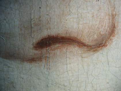 Fig.11 Detail of the nose, photographed at x8 magnification