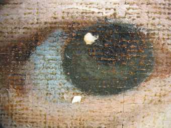 Fig.12 Detail of the sitter’s left eye at x8 magnification