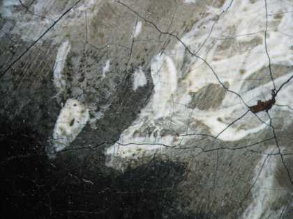 Fig.12 Detail of the edge of the collar at x8 magnification, showing the grey priming left visible as a tone in the composition