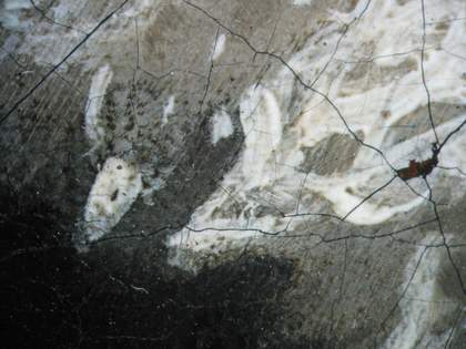 Fig.12 Detail of the edge of the collar at x8 magnification, showing the grey priming left visible as a tone in the composition