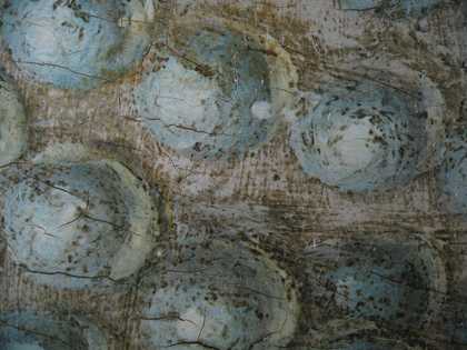 Fig.12 Detail of pearls at the wrist, photographed at x8 magnification