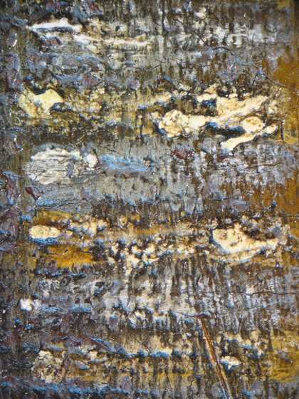 Fig.12 Detail photographed at x8 magnification of the braid on the blue cloak