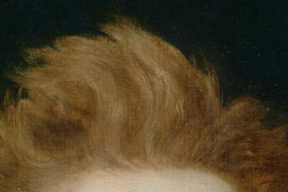 Fig.12 Detail of the hair and the background