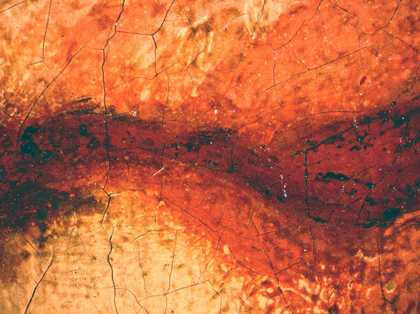 Fig.12 Detail of the mouth, photographed at x8 magnification