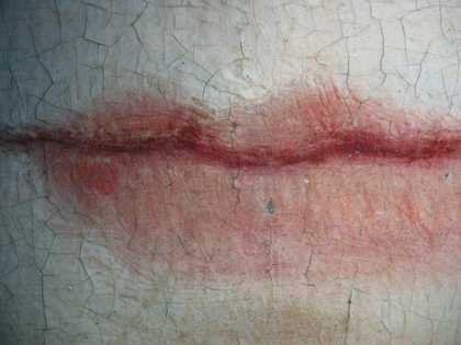 Fig.12 Dtail of the mouth, photographed at x8 magnification