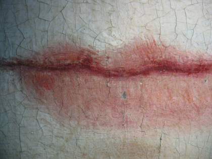 Fig.12 Dtail of the mouth, photographed at x8 magnification