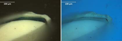 Cross-section of paint from left edge of sleeve in visible light and ultraviolet light