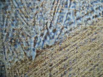 Fig.13 Detail of the blue drapery at x8 magnification, showing two shades of opaque, pale blue bodycolour and the remains of a blue glaze on top