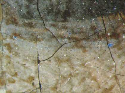 Fig.13 Detail at x20 magnification of blue pigment in the white of the sitter’s left eye
