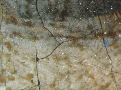Fig.13 Detail at x20 magnification of blue pigment in the white of the sitter’s left eye