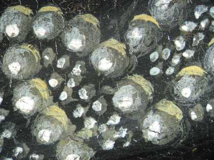 Fig.13 Detail of pearls in the hat, photographed at x8 magnification