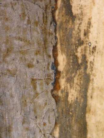  Fig.13 Detail of the sash at the extreme right edge of the painting, showing dark blue underpainting