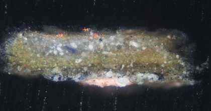 Fig.13 Cross-section through the blue and orange sky paint, photographed at x320 magnification. 