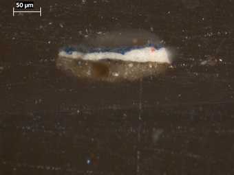 Fig.13 Cross-section from mid-blue of costume, photographed at x200 magnification. From the bottom: ground; dark brown dead colouring; opaque pale blue paint of ribbon; blue glaze, containing ultramarine and chalk; Paraloid B72 varnish